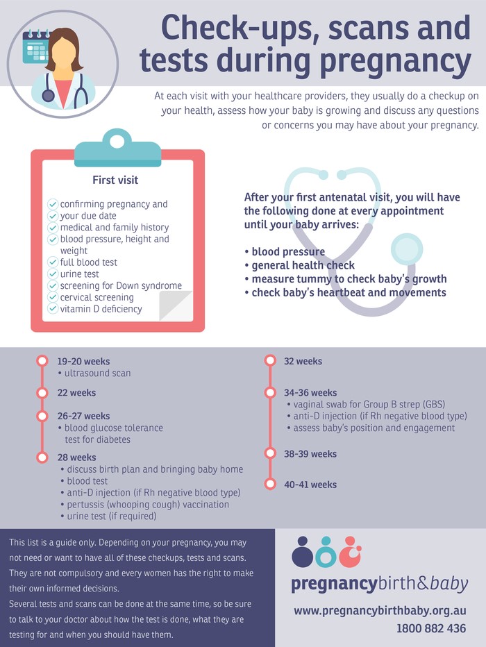 Checkups, scans and tests during pregnancy